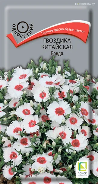 Гвоздика Китайская Рондо 0,1 г, Семена Поиск