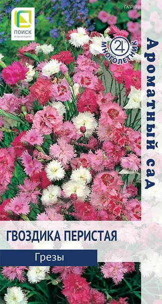 Гвоздика Грезы перистая 0,1 г, Семена Поиск