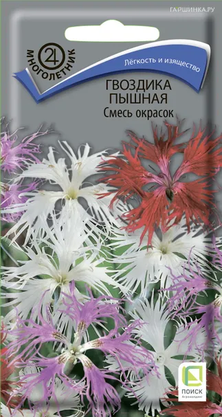 Гвоздика пышная Смесь окрасок 0,1, Поиск