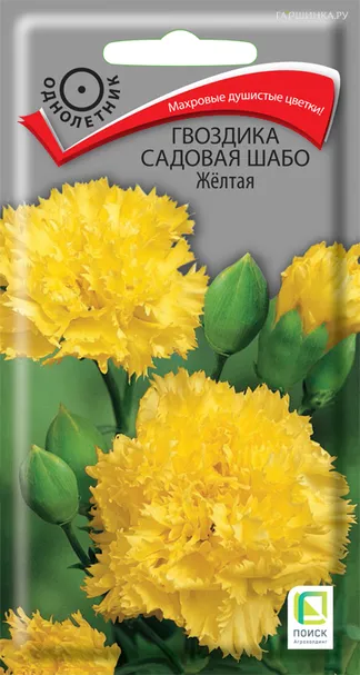 Гвоздика садовая Шабо Желтая 0,1, Поиск