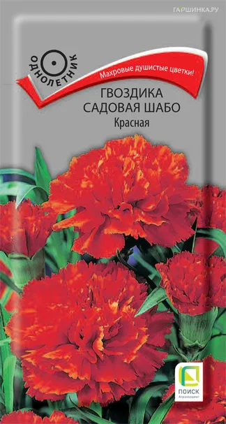 Гвоздика садовая Шабо Красная 0,1, Поиск