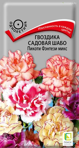 Гвоздика садовая Шабо Пикоти Фэнтези микс 0,3, Поиск