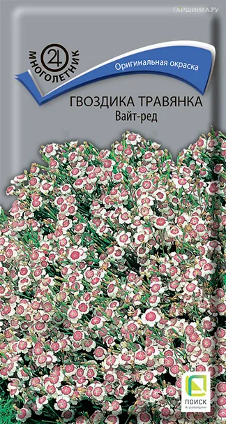 Гвоздика травянка Вайт-Ред 0,1, Поиск