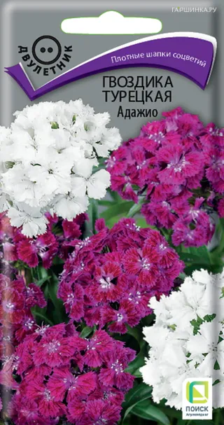 Гвоздика Турецкая Адажио 0,3, Поиск