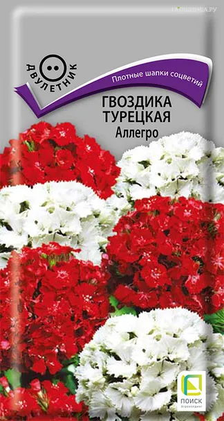 Гвоздика Турецкая Аллегро 0,3, Поиск