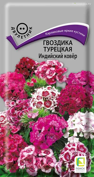 Гвоздика Турецкая Индийский ковер 0,3, Поиск