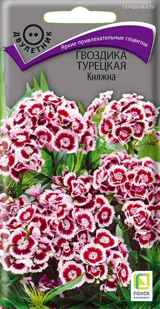 Гвоздика Турецкая Княжна 0,3 г, Семена Поиск