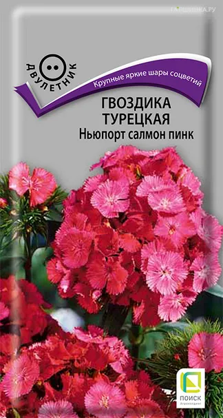 Гвоздика Турецкая Ньюпорт салмон пинк 0,5, Поиск