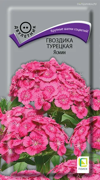 Гвоздика Турецкая Ясмин 0,3 г, Семена Поиск