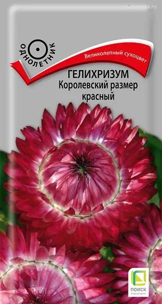 Гелихризум Королевский размер Красный 0,1 г,Семена Поиск