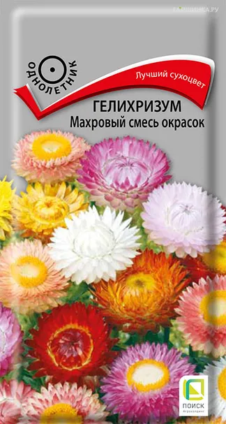 Гелихризум Махровый Смесь окрасок 0,25 г, Семена Поиск
