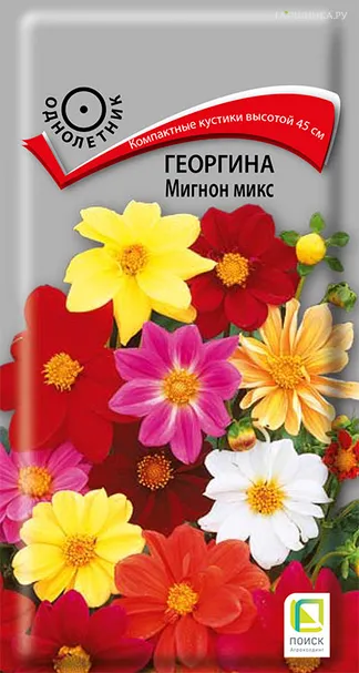 Георгина Мигнон Микс 0,2 г, Семена Поиск