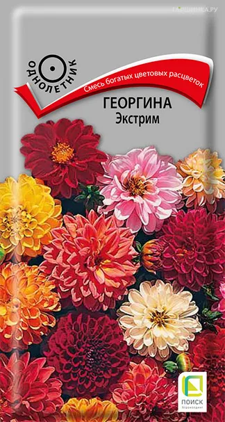 Георгина Экстрим 0,2 г, Семена Поиск