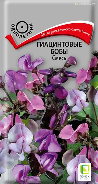 Гиацинтовые бобы Смесь 1 г, Семена Поиск