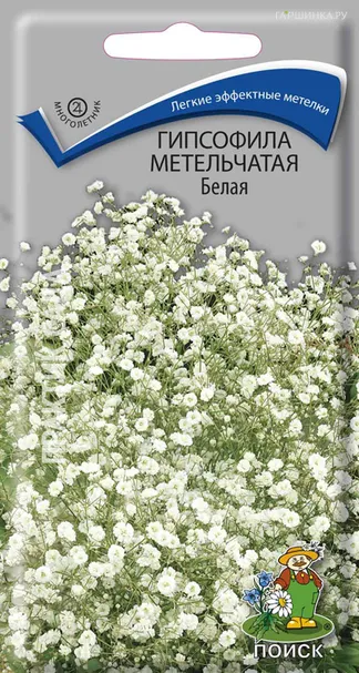 Гипсофила метельчатая Белая 0,2, Поиск