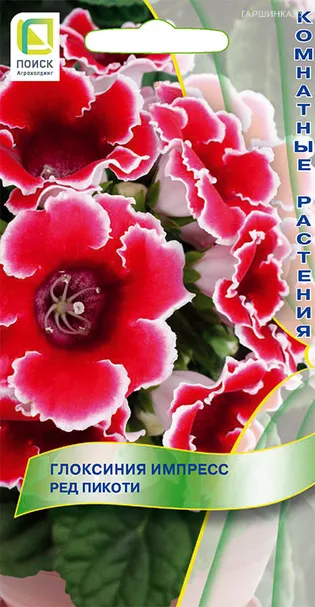 Глоксиния Ред Пикоти 5 (Импресс), Семена Поиск