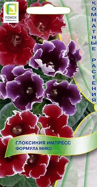 Глоксиния Формула Микс 5 (Импресс), Семена Поиск