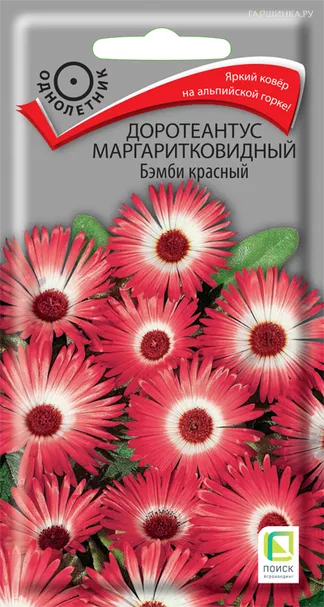 Доротеантус маргаритковидный Бэмби красный 0,1, Поиск
