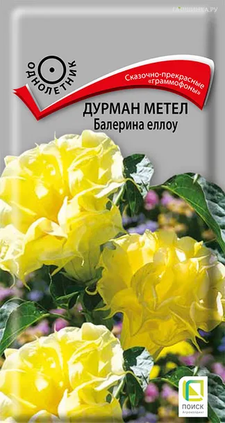 Дурман Балерина Еллоу метел 3 шт, Семена Поиск