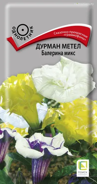 Дурман метел Балерина микс 3, Поиск