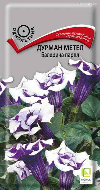 Дурман Балерина Парпл метел 3 шт, Семена Поиск