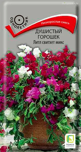Душистый горошек Литл свитхет микс 0,5, Поиск