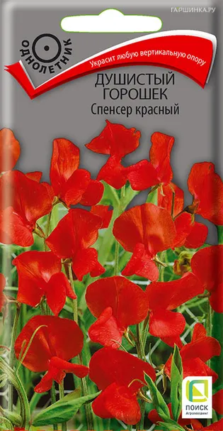Душистый горошек Спенсер красный 1 г, Семена Поиск