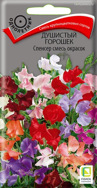 Душистый горошек Спенсер смесь окрасок 2, Поиск