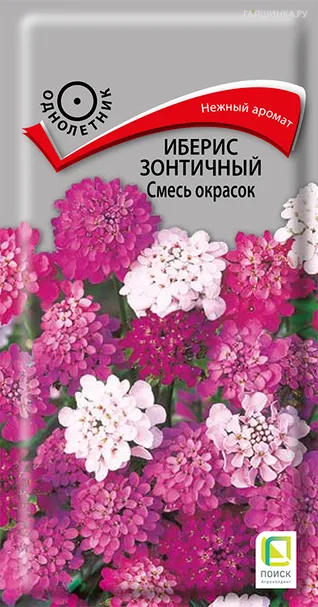 Иберис зонтичный Смесь окрасок 0,5 г, Семена Поиск