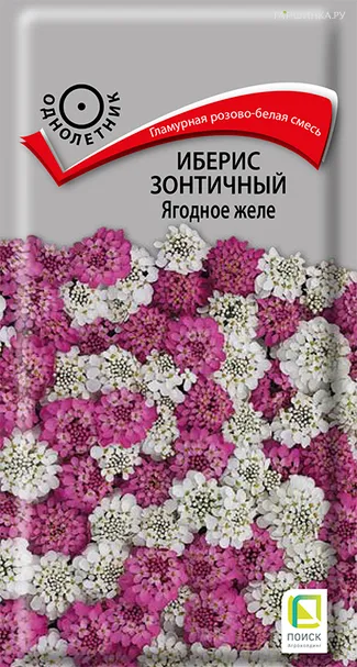 Иберис зонтичный Ягодное желе 0,1, Поиск