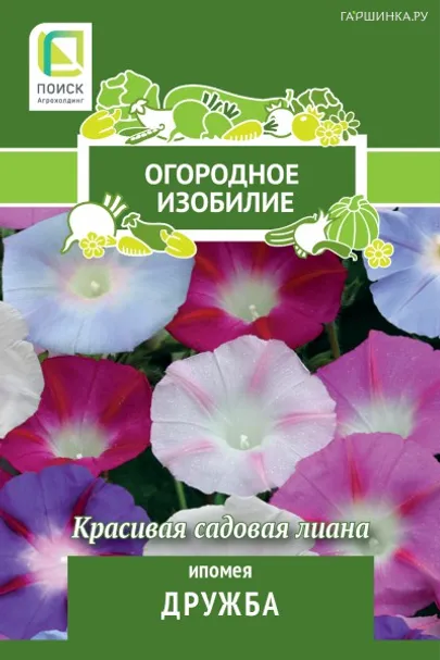 Ипомея Дружба 1, Поиск