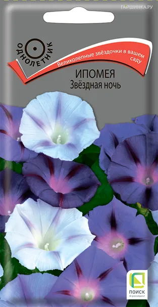 Ипомея Звездная ночь 0,5, Поиск