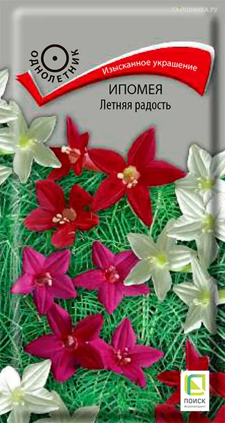 Ипомея Летняя радость 0,3, Поиск