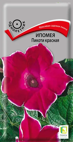 Ипомея Пикоти красная 0,3, Поиск