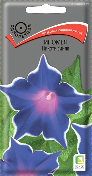 Ипомея Пикоти синяя 0,3, Поиск