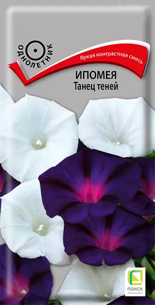 Ипомея Танец теней 0,5, Поиск