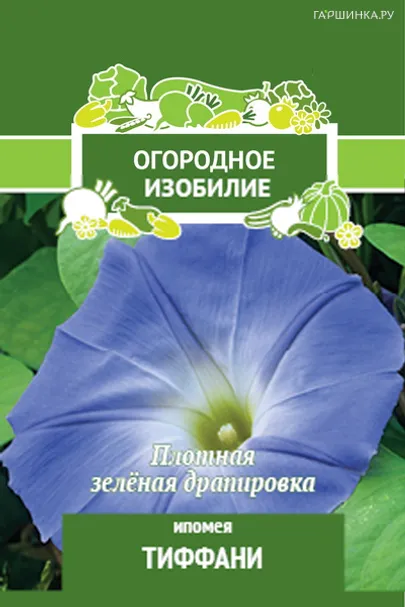 Ипомея Тиффани 1, Поиск