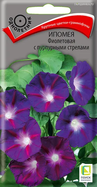 Ипомея Фиолетовая с пурпурными стрелами 0,5, Поиск