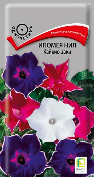 Ипомея Нил Кайкио-заки 0,3, Поиск