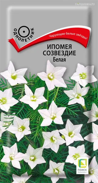 Ипомея Созвездие Белая 0,3, Поиск