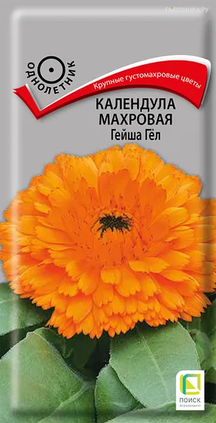 Календула махровая Гейша Гёл 1, Поиск