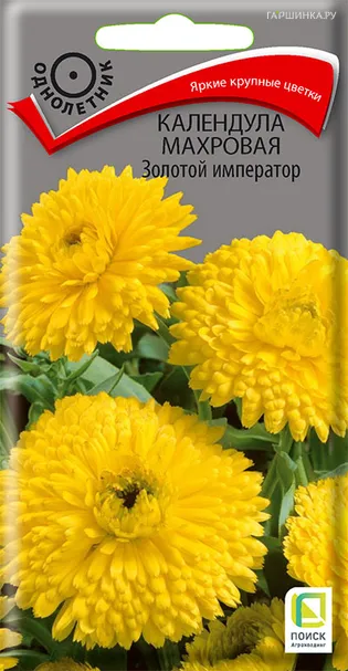 Календула махровая Золотой император 1, Поиск