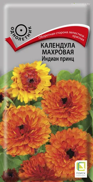 Календула махровая Индиан принц 0,4, Поиск