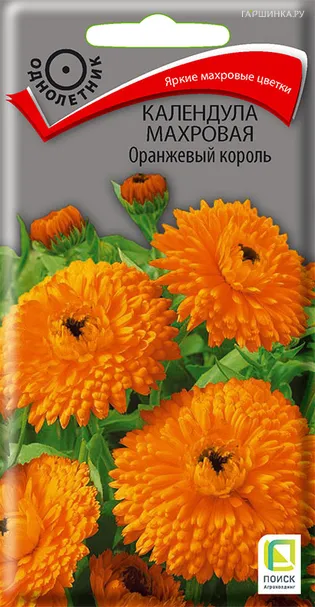 Календула махровая Оранжевый король 1, Поиск