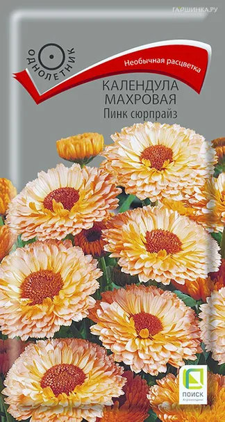 Календула махровая Пинк сюрпрайз 0,4, Поиск