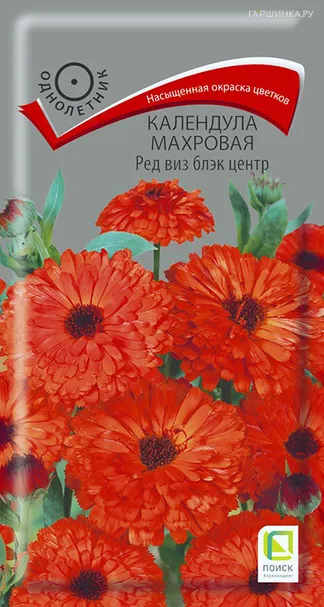 Календула махровая Ред виз блэк центр 0,4, Поиск
