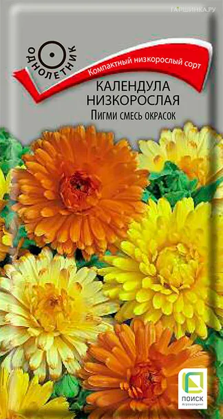 Календула низкорослая Пигми смесь окрасок 0,3, Поиск