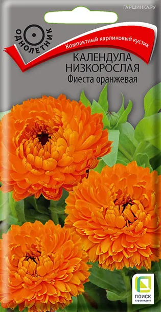 Календула низкорослая Фиеста оранжевая 0,3, Поиск