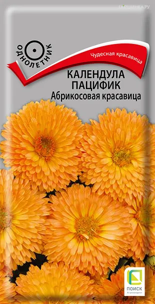 Календула пацифик Абрикосовая красавица 0,5, Поиск