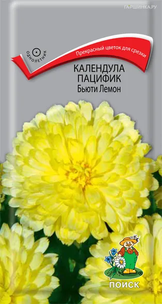 Календула пацифик Бьюти Лемон 1, Поиск